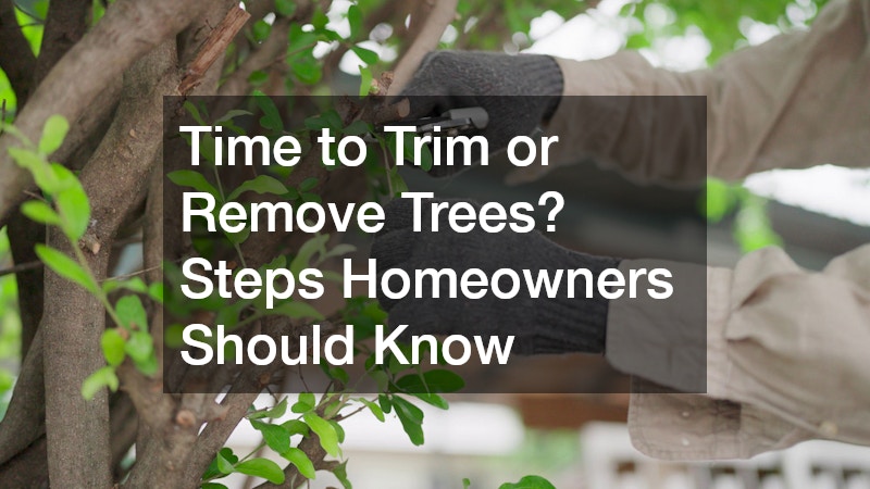 Time to Trim or Remove Trees? Steps Homeowners Should Know